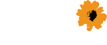 Flora Concept
